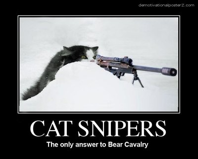17965_cat_snipers_123_1002lo.jpg